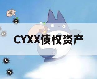 CYXX债权资产