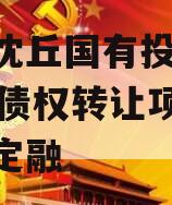 河南沈丘国有投资2024年债权转让项目城投债定融