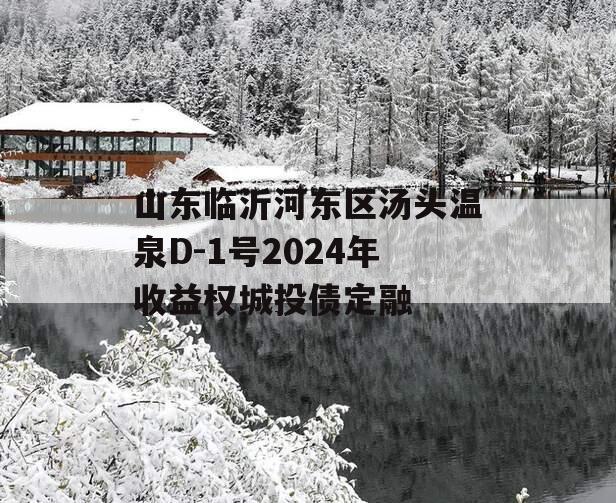 山东临沂河东区汤头温泉D-1号2024年收益权城投债定融