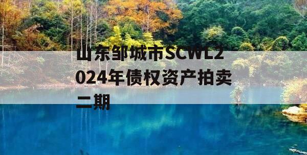 山东邹城市SCWL2024年债权资产拍卖二期