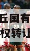 河南沈丘国有投资2024年债权转让项目